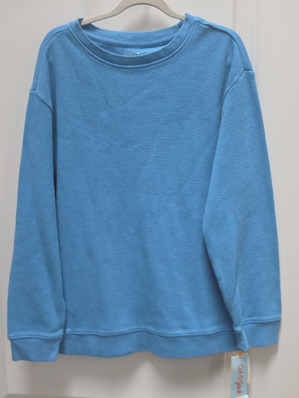 Cat & Jack Light Blue Long Sleeve Crewneck Sweatshirt